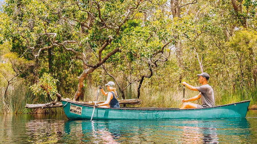 Noosa: Everglades Explorer Cruise - Key points at a glance