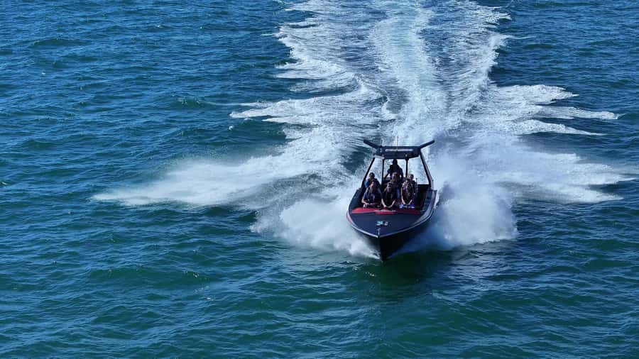 Noosa: Noosa Ocean Adventure with Dolphin Watching - Key points to know before you book