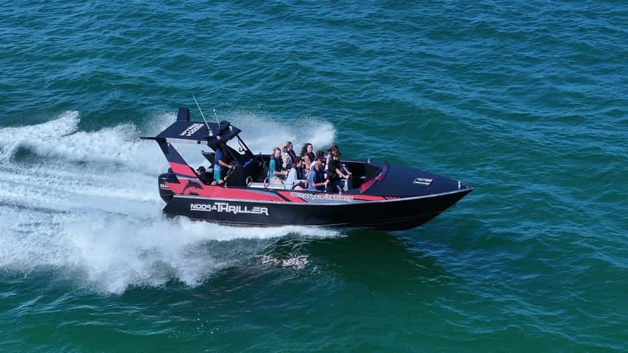 Noosa: Noosa Ocean Adventure with Dolphin Watching - What the Noosa Thriller experience is really like