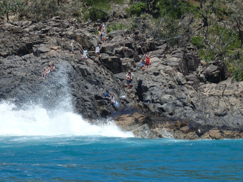 Noosa: Noosa Ocean Adventure with Dolphin Watching - Noosa National Park from the water