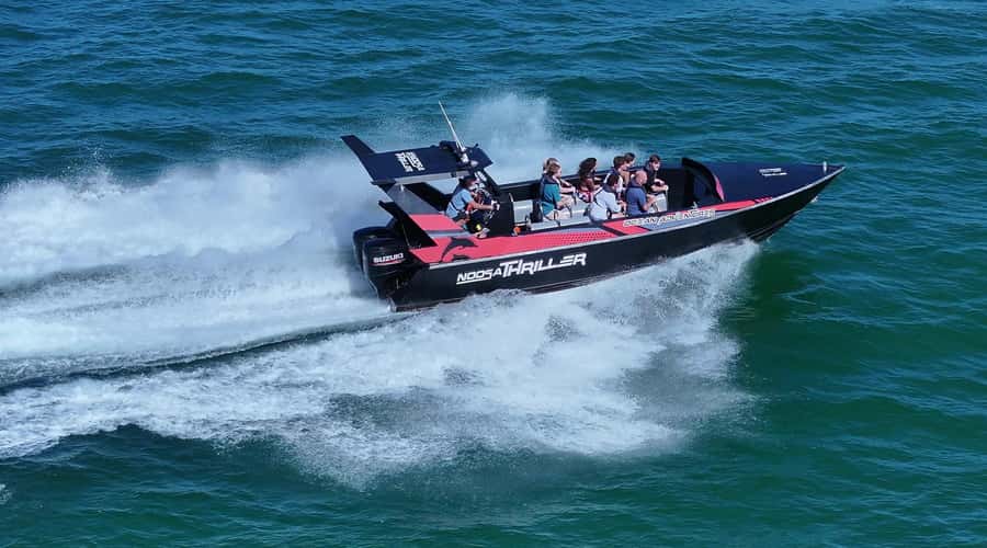 Noosa; Noosa Ocean Adventures - Whale Watching - What the boat ride feels like