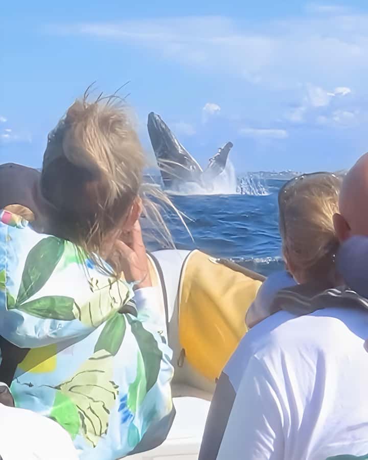 Noosa: Noosa Whale Watching Tour - Is $70 a fair price?