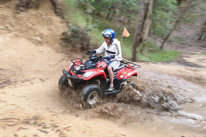 Noosa Quad Bike Tours - Riding the 4x4 tracks into the park