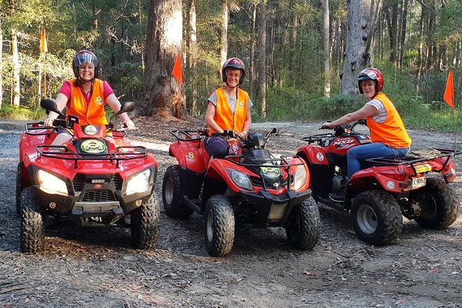 Noosa Quad Bike Tours - The rock pools, swimming, and a welcome pause