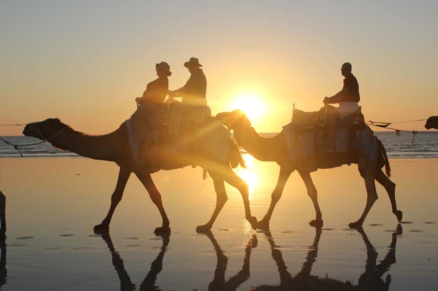 North of Rocks on Cable Beach: 1-Hour Sunset Camel Ride - Key points to know before you book