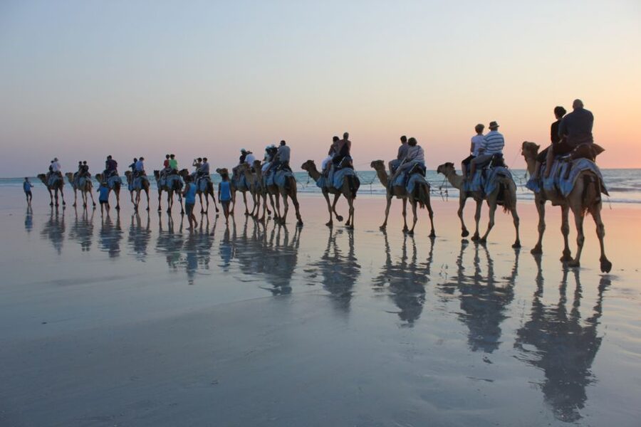 North of Rocks on Cable Beach: 1-Hour Sunset Camel Ride - Choosing a camel for each rider