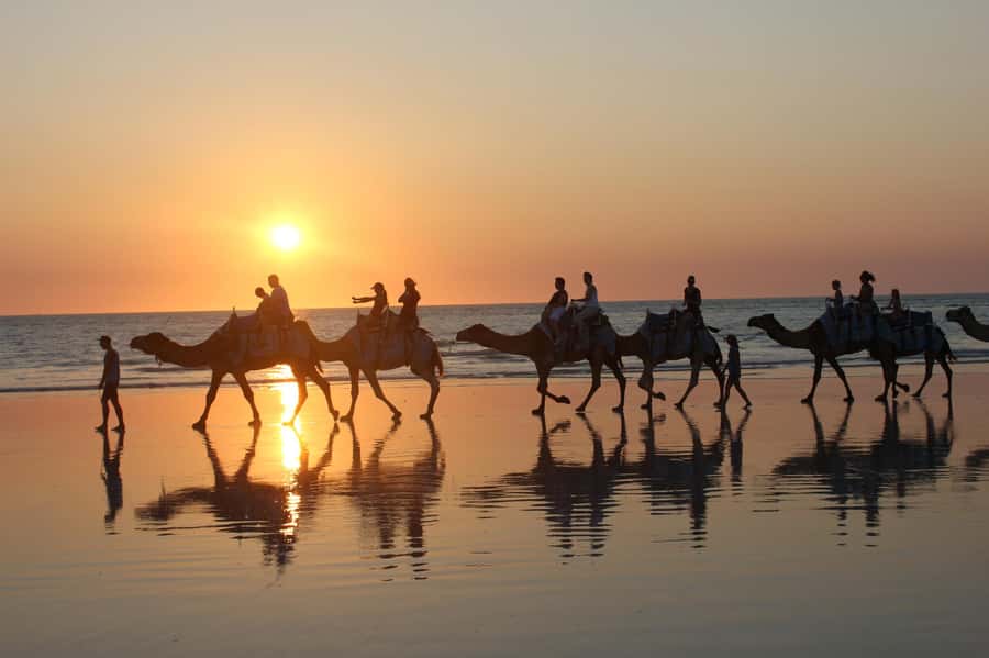 North of Rocks on Cable Beach: 1-Hour Sunset Camel Ride - Finding the Blue Camels north of the rocks