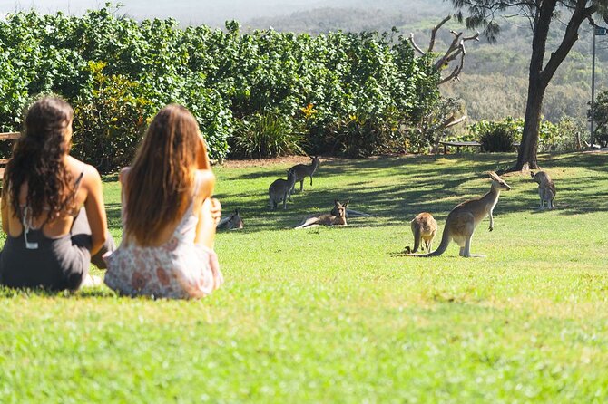 North Stradbroke Island Day Tour from Brisbane – Small Group - Point Lookout and North Gorge Walk