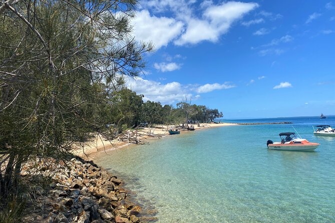 North Stradbroke Island WILDLIFE Adventure Tour from Brisbane - North Stradbroke Island at a glance