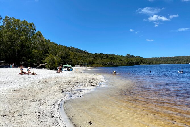 North Stradbroke Island WILDLIFE Adventure Tour from Brisbane - Why this island trip works from Brisbane