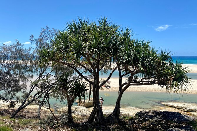 North Stradbroke Island WILDLIFE Adventure Tour from Brisbane - Amity Point brings wildlife and a slower afternoon