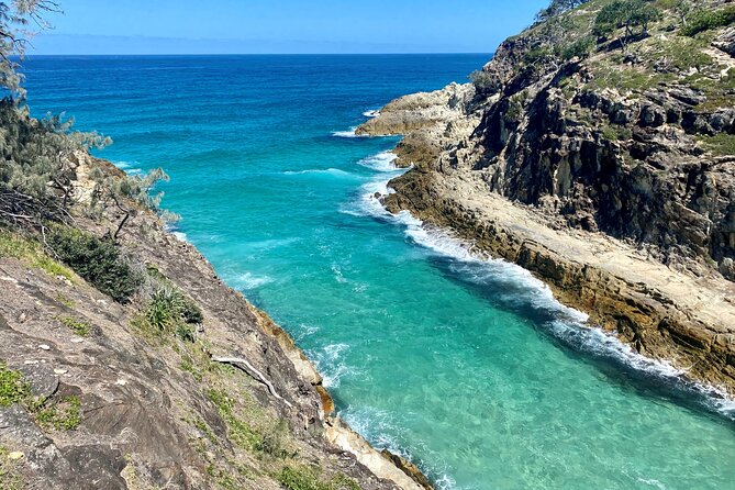 North Stradbroke Island WILDLIFE Adventure Tour from Brisbane - Is $106.87 good value?