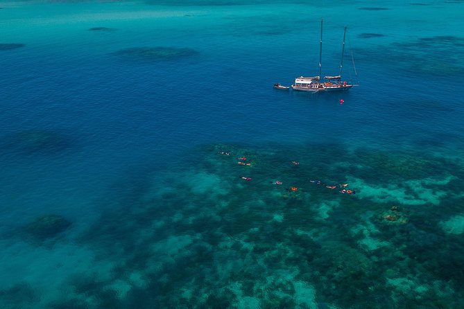Ocean Free 25 guest Great Barrier Reef & visit Green Island Tour - The morning sail from Cairns to Green Island