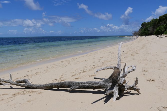 Ocean Free 25 guest Great Barrier Reef & visit Green Island Tour - Green Island National Park after lunch