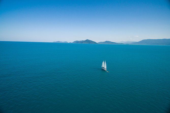 Ocean Free 25 guest Great Barrier Reef & visit Green Island Tour - Pinnacle Reef: the main underwater session
