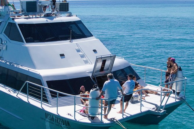 Ocean Freedom Great Barrier Reef Luxury Snorkel and Dive Cruise - Snorkeling help for nervous swimmers