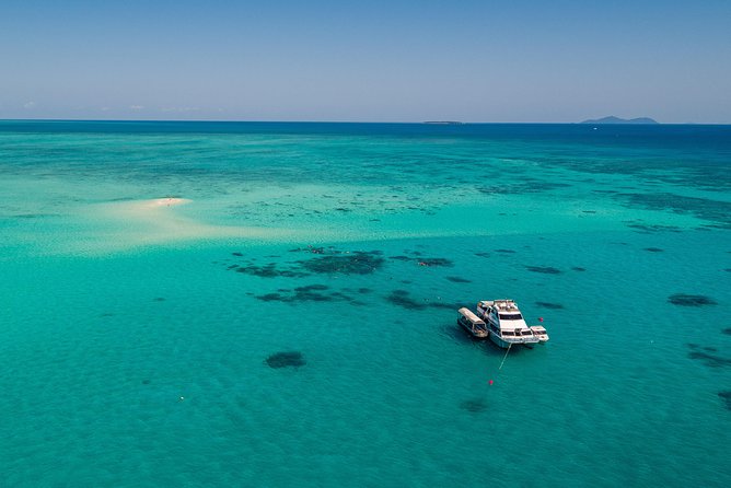Ocean Freedom Great Barrier Reef Luxury Snorkel and Dive Cruise - A seafood lunch and steady stream of snacks