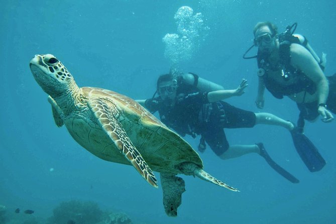 Ocean Freedom Great Barrier Reef Luxury Snorkel and Dive Cruise - Boat comfort, crowding, and practical annoyances