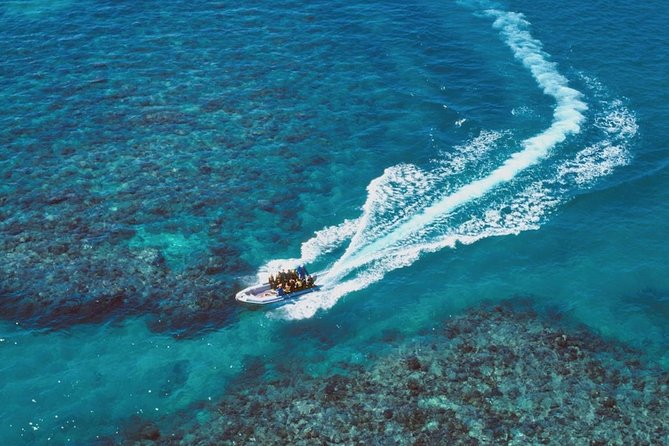 Ocean Freedom Great Barrier Reef Luxury Snorkel and Dive Cruise - Who should choose Ocean Freedom?