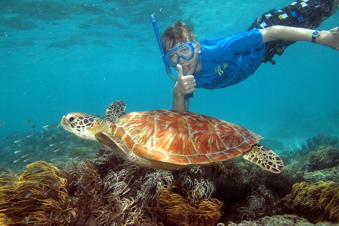 Ocean Spirit Sail to Michaelmas Cay Snorkel or Dive, from Cairns - A full day from Cairns to a remote sand cay