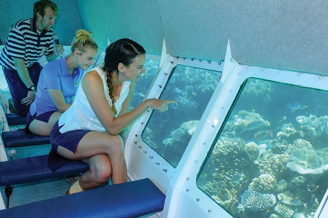 Ocean Spirit Sail to Michaelmas Cay Snorkel or Dive, from Cairns - Is $197.96 good value?