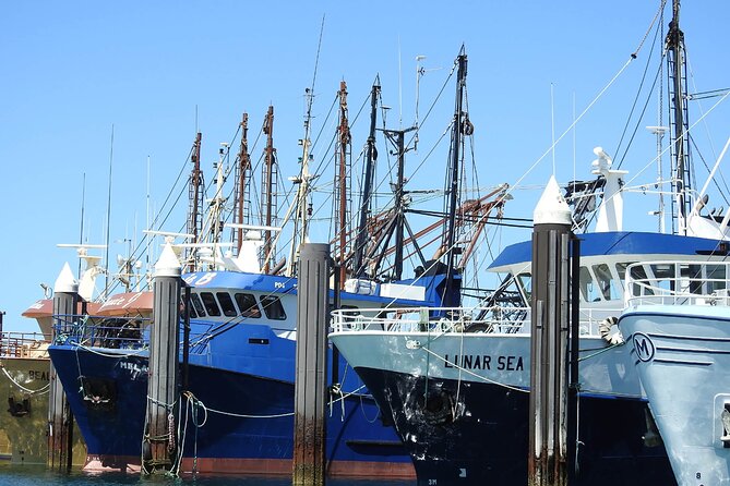 One Day Port Lincoln Tour - Tasting Eyre - Fresh Fish Place turns lunch into a Port Lincoln experience