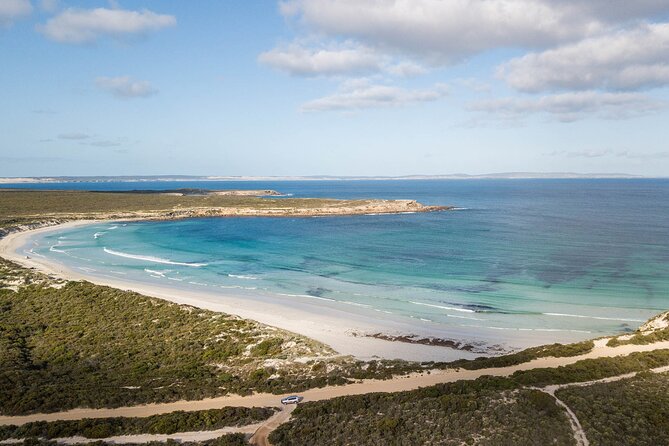 One Day Port Lincoln Tour - Tasting Eyre - Mikkira Station offers a real wild-koala encounter