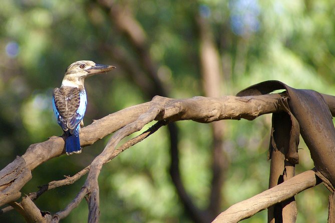 Ord River Cruise Experience with Riverside Lunch - Argyle Downs Homestead Museum adds a human story