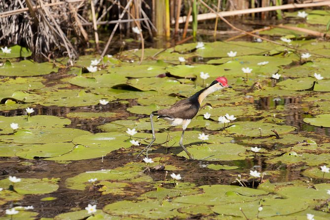 Ord River Discoverer Cruise with Sunset - Guides, boats, and the overall pace