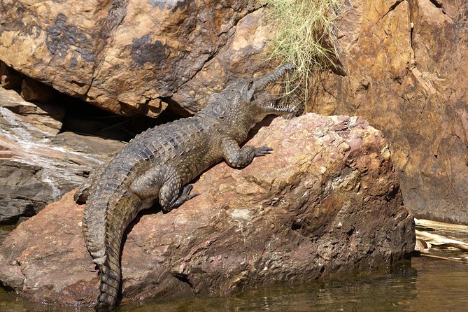 Ord River Explorer Cruise with Sunset - What the $184.33 price includes