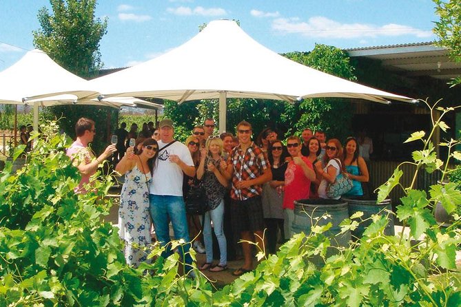 Out For The Afternoon - Half Day of Indulgence in the Swan Valley - Key points to know before you book