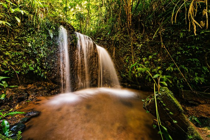 Paronella Park Admission Ticket - Location and transport from Cairns or Innisfail