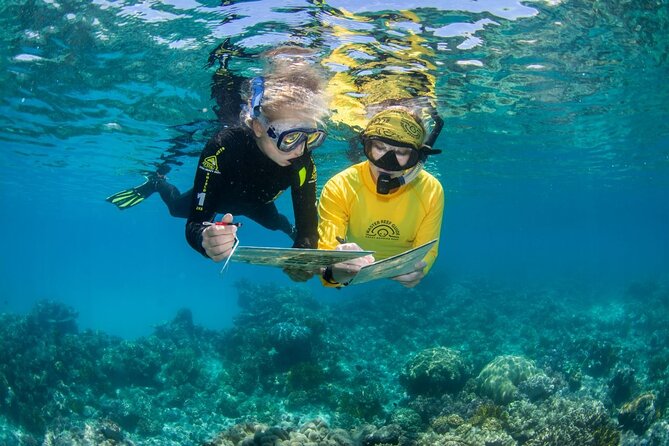 Passions of Paradise Great Barrier Reef Cruise by Catamaran - First reef stop: choose your way into the water