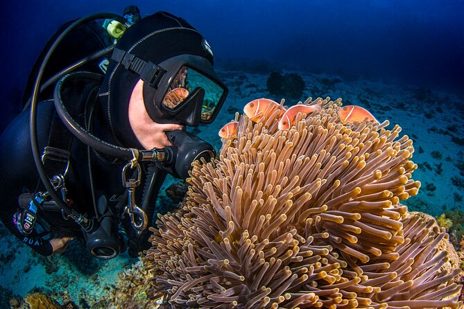 Passions of Paradise Great Barrier Reef Cruise by Catamaran - Reef talks that add meaning to the views