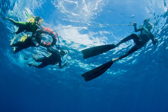 Passions of Paradise Great Barrier Reef Cruise by Catamaran - How much value do you get for $192.94?