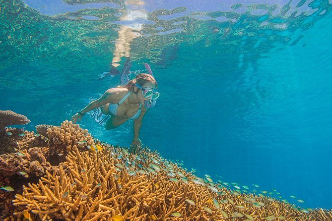Passions of Paradise Great Barrier Reef Cruise by Catamaran - Who will get the most from this reef cruise?