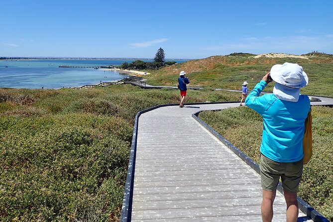 Penguin and Seal Islands Sea Kayaking Experience - Key things to know before you book