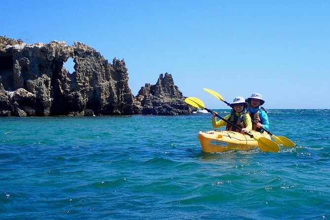 Penguin and Seal Islands Sea Kayaking Experience - Why Shoalwater Marine Park makes a good day trip