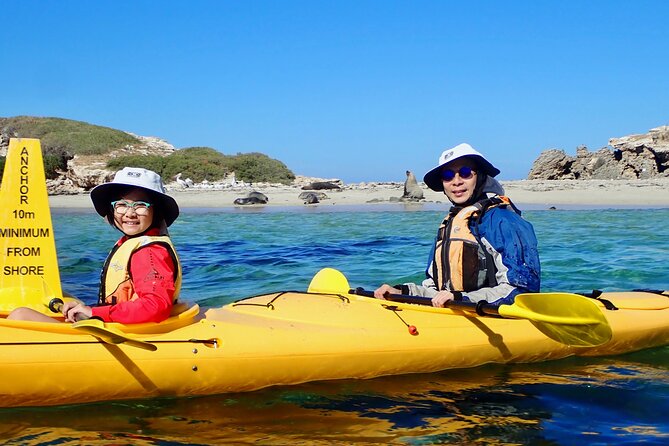 Penguin and Seal Islands Sea Kayaking Experience - Summer snorkeling from December through March