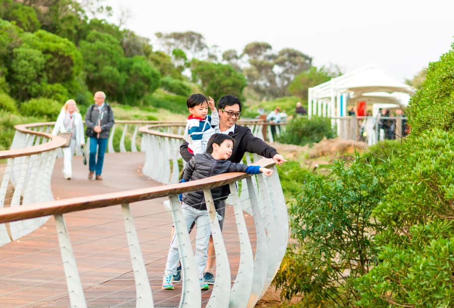 Penguin Parade: General Viewing Ticket - Key Points Before You Go