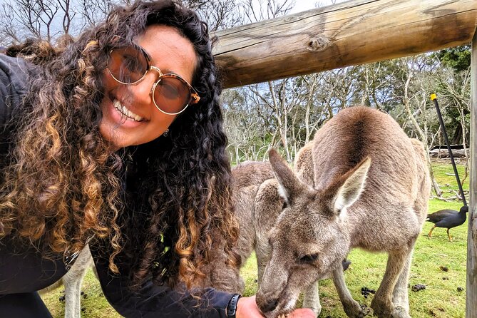 Penguin Parade, & Wildlife Encounters Eco Tour from Melbourne - Transport, guides, and the long return to Melbourne