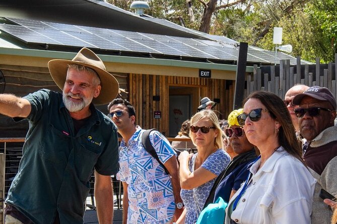 Penguin Parade, & Wildlife Encounters Eco Tour from Melbourne - What the $118.35 price really covers