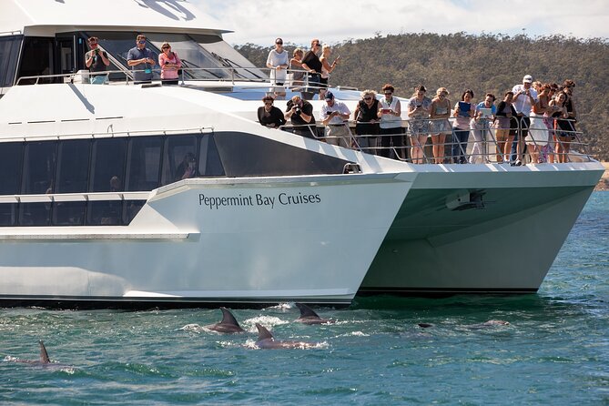 Peppermint Bay Cruise & Lunch - Key points at a glance