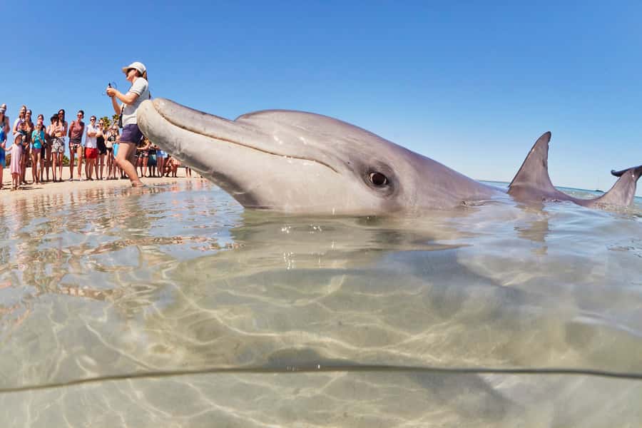 Perth: 7 Day Exmouth Explorer & Ningaloo Reef Return Perth - Days four and five: Coral Bay and Ningaloo Reef
