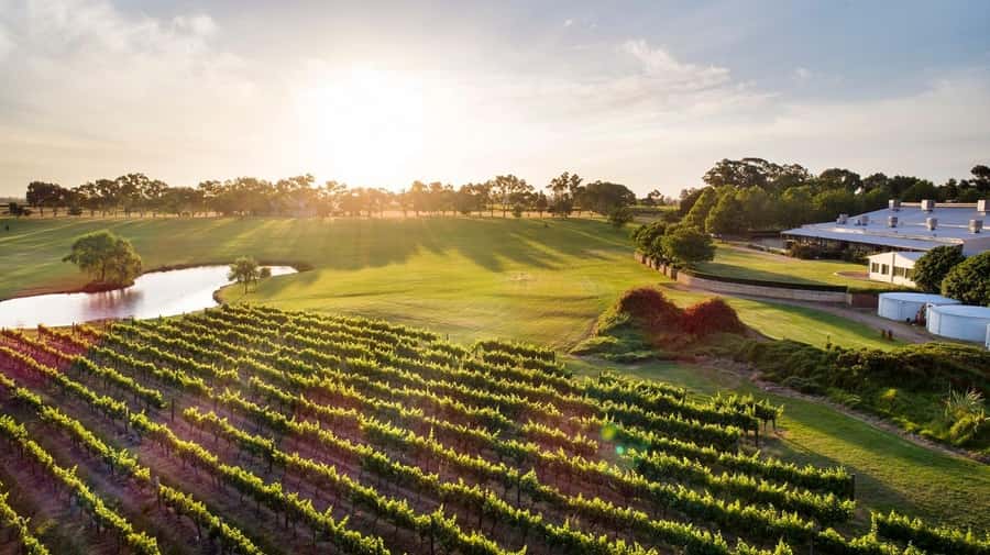 Perth: Full Day Swan Valley Cruise & Wine Tasting With Lunch - Wine tasting while the city slips behind you