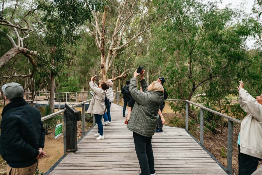 Perth: Pinnacles Desert Sunset & Stargazing with Dinner - Dinner in Cervantes, with a country-pub feel