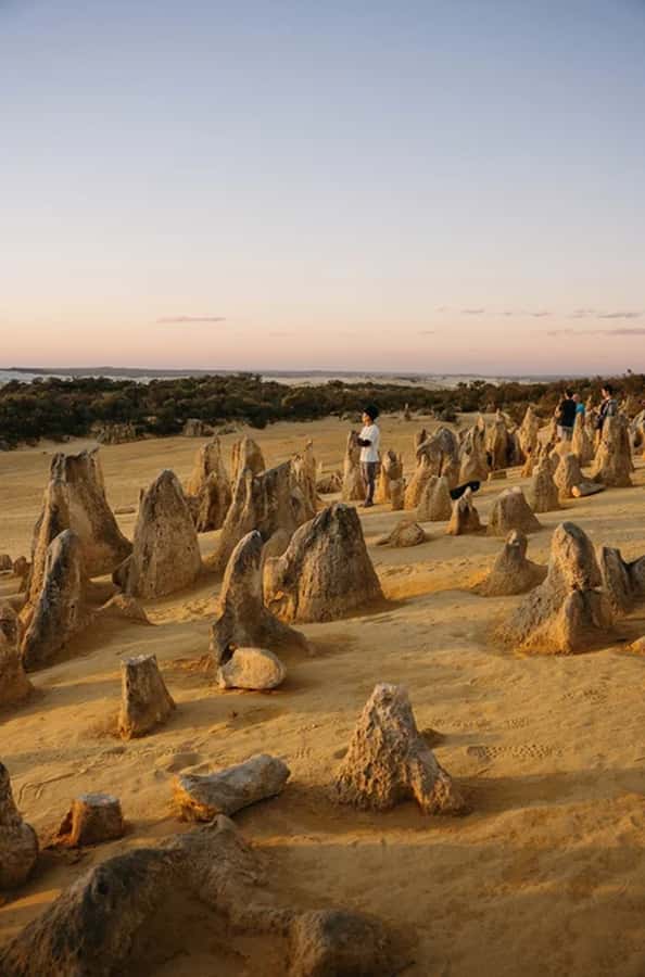 Perth: Pinnacles Desert Sunset & Stargazing with Dinner - How the $159 price holds up