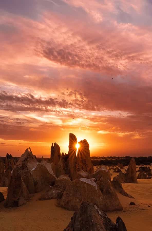 Perth: Pinnacles Desert Sunset & Stargazing with Dinner - The northbound coach ride and local commentary