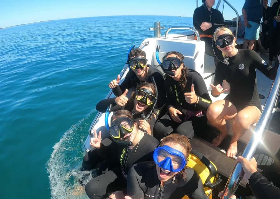 Perth: Swim with Wild Dolphins Tour - Practical planning for the morning
