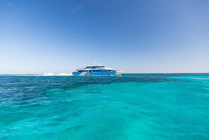 Perth to Rottnest Island Roundtrip Ferry Ticket - What the Fremantle stop means for your day